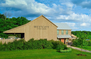The Westcott Vineyards Niagara winery and tasting room, housed in a restored Mennonite barn.