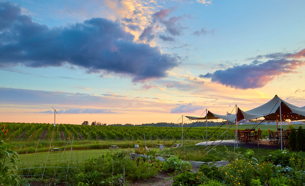 A sunset shot of the Westcott Vineyards Niagara winery patio.