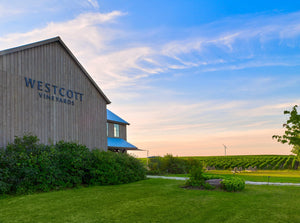 Our Niagara winery and tasting room in front of the home farm vineyard.