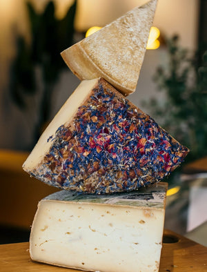 Wine and Cheese tasting