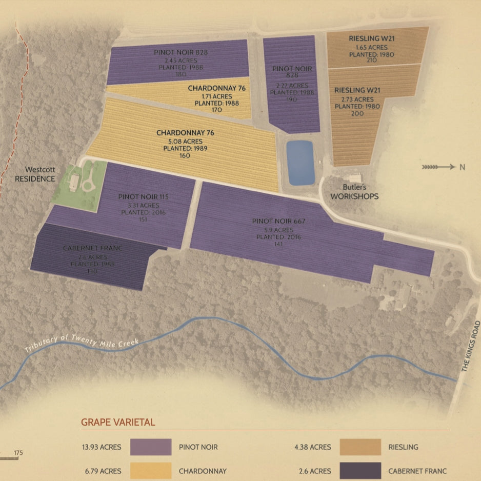 Vineyard Maps