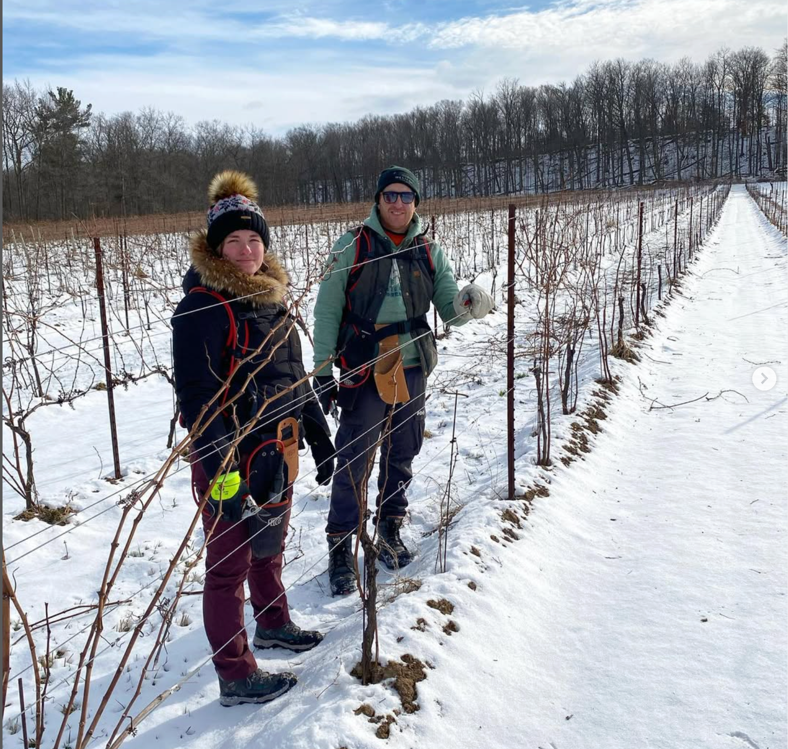 Vineyard Manager Garett Westcott and friend prune vines in the home vineyard in winter.