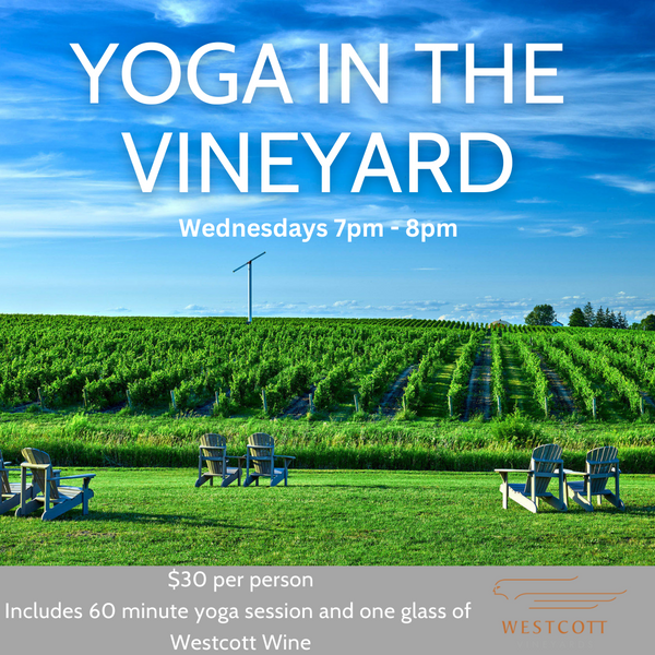 Yoga in the Vineyards